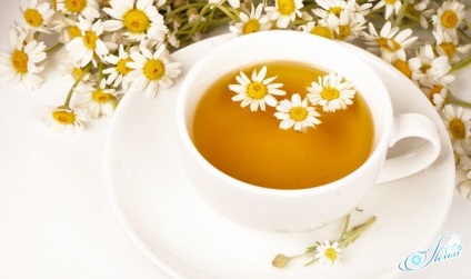 Kamilla tea előnyei és hátrányai, főzés