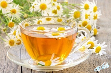 Kamilla tea előnyei és hátrányai, főzés