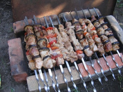 Kebab pácolt paradicsommal - receptek képekkel