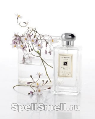 Spellsmell - parfüm illata a jázmin
