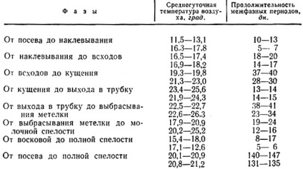 Vetés 1973 Tulyakova s (mély elhelyezése mag) Vetése 1973 Tulyakova