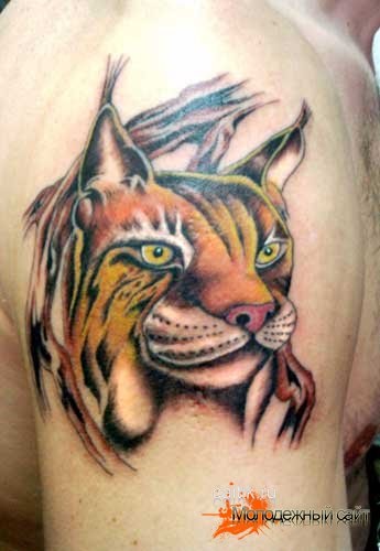 Tetoválás a macskák és kiscicák érték és a tetoválás fotók