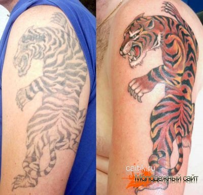 Tetoválás a macskák és kiscicák érték és a tetoválás fotók
