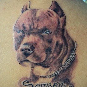 Kutya tetoválás jelenti - a szó egy szimbólum, a lányok és fiúk