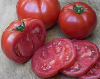 Tomato nagy marha f1 (nagy marha f1) - leírás és tulajdonságai határozatlan hibrid gyümölcs (leírás) Big Beef paradicsom f1 (nagy marha f1) - jellemvonások gyümölcsök és határozatlan hibrid