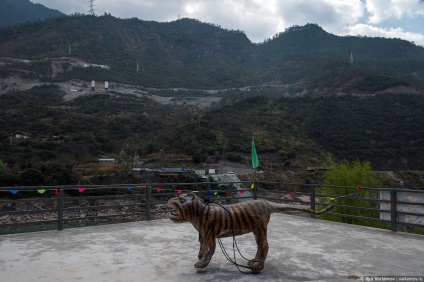 Tiger ugrott Gorge -