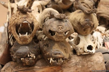 Félelmetes afrikai piac varázslók voodoo (47 fotók) - a misztériumvallások - hírek (fotók) Félelmetes afrikai piac varázslók voodoo (47 fotók) - a misztériumvallások - Hírek