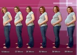 magzati súly hétre terhesség