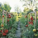 Weigel sikeres termesztés titkok, gazdagon berendezett kert