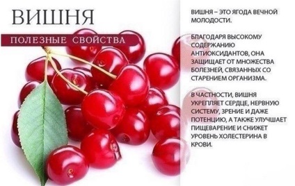 Nem lehet még kitalálni a hatalmas előnyöket bogyók (kezelés) Nem lehet még kitalálni a hatalmas előnyöket bogyók