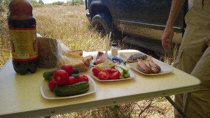 A Krím-félszigeten, a kutya hagyja, hogy egy dzsip