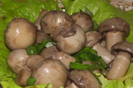 Fő ételek gomba gomba fotók és receptek friss és ecetes gomba (csiperkegomba) Fő ételek gomba gomba fotók és receptek friss és ecetes gomba