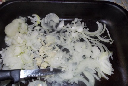 Fő ételek gomba gomba fotók és receptek friss és ecetes gomba (második) Fő ételek gomba gomba fotók és receptek friss és ecetes gomba