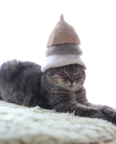Japán teremt kalapok macskáknak saját gyapjú