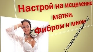 A telek gyógyító miómák (miómák) A telek a mióma gyógyulást
