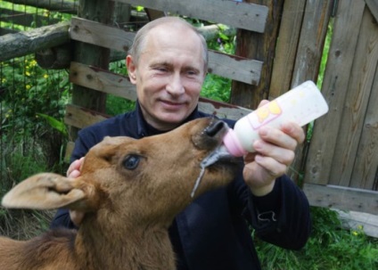 Az élet szemével Vladimira Putina amerikaiak (28 fotó) - mentes fotók szórakoztató, és demotivators