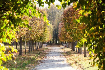 Arhangelszk, Magyarország leírása, fényképek, amely a térképen, hogyan juthat (Arhangelszk) Arhangelszk, Magyarország leírása, fényképek, amely a térképen, hogyan juthat