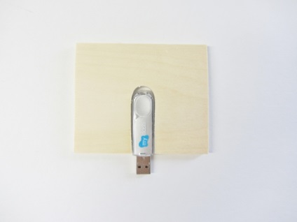 Tok USB flash meghajtó a kezeddel, a nap festékek (hogyan kell csinálni) Tok USB flash meghajtó a kezeddel, a nap festékek
