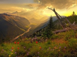 Üdvözöljük a paradicsom leírása paradicsom iszlám - áll az iszlámról (közel, ahol az áramlás) Üdvözöljük a paradicsom leírása paradicsom iszlám - Islam hozzáférhető