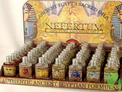 Egyiptomi olajfajta és használja kivonatok Egyiptom