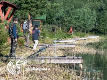 Hol és mit kell halászni pisztráng a leningrádi régióban mindenféle módon a halakra és a halászati ​​területek vizeken