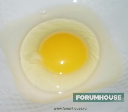 Hogyan készítsünk narancssárga sárgáját egy tojás
