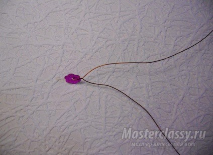 Lily flitterek (egy teljes fordulatot) Lily flitterek