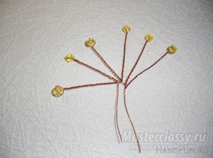Lily flitterek (ennek teljes fordulat) Lily flitterek
