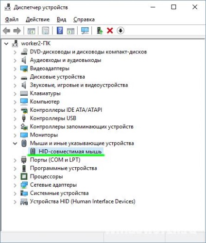Egér nem működik a laptop, mit kell tenni a kurzor nem mozdul, megszakad (törött) Egér nem működik a laptop, hogy nem mozog a kurzor, megszakítva
