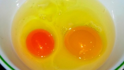 Miért tojássárgája különböző színű és milyen hasznos
