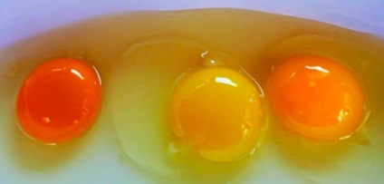 Miért tojássárgája különböző színű és milyen hasznos