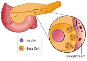 Emelkedett inzulin tünetek, okok, kezelés