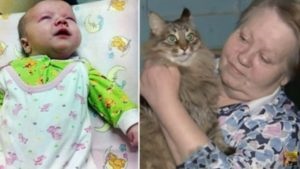 Körülbelül egy macska integetett, és arról, hogy ő mentette meg a gyermek életét