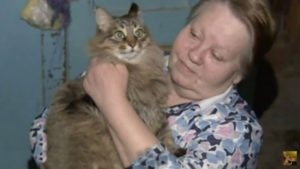Körülbelül egy macska integetett, és arról, hogy ő mentette meg a gyermek életét