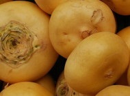 Receptek erjesztett tejtermékek otthon hogyan lehet sajt, joghurt, és (termék) Receptek erjesztett tejtermékek otthon, hogyan lehet sajtot, joghurtot és