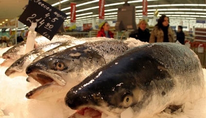 Fish Fish