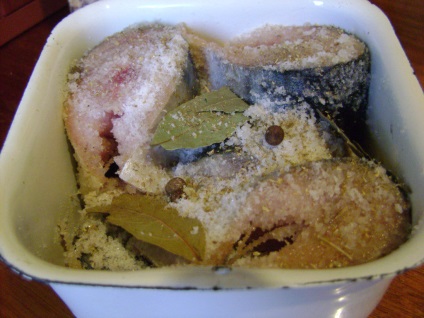 Sós makréla száraz módszerrel - sózás makréla hazafelé, lépésről lépésre recept fotók