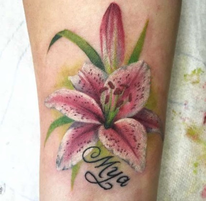 Tattoo liliom tetoválás érték 35 fotók, vázlatok
