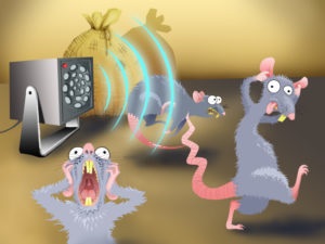 Ultrahangos riasztó egerek és patkányok, saját kezűleg