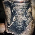 Jelentés tetoválás elefánt - a történelem, ami azt jelenti, fotók