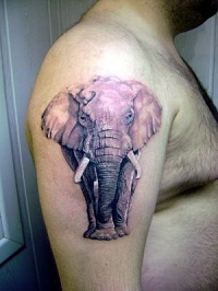 Jelentése tetoválás „elefánt”