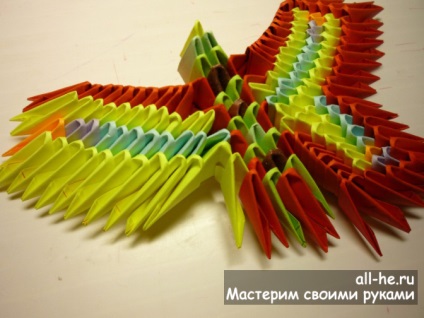 Butterfly „moduláris origami, mindent ő