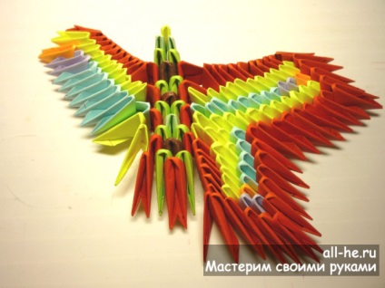 Butterfly „moduláris origami, mindent ő