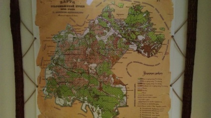 Bialowieza erdő hogyan lehet, hogy az árak (Bialowieza) Bialowieza erdő, hogyan lehet, hogy a megjelenés, az árak