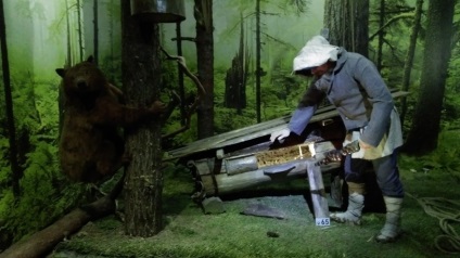 Bialowieza erdő, hogyan lehet, hogy a megjelenés, ár (felnőtt tizenéves gyermekülés) Bialowieza erdő, hogyan lehet, hogy a megjelenés, az árak
