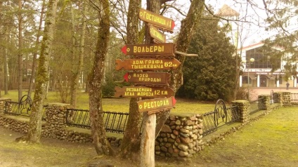 Bialowieza erdő hogyan lehet, hogy nézd, az ár (hozzáférés) Bialowieza erdő, hogyan lehet, hogy a megjelenés, az árak