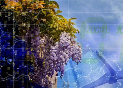 Fejlesztési Központ személyiség, Akadémia Műszaki Tudományok Ukrajna (Science) Fejlesztési Központ személyiség, Akadémia Műszaki Tudományok Ukrajna