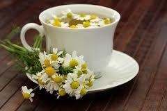Tea gyógynövények, hogy fokozza az immunitást