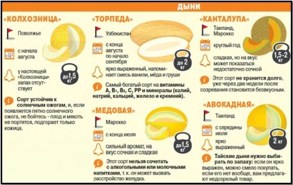 Mennyire hasznos dinnye teljes igazságot, a test ábécé