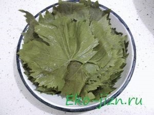 Dolma recept fotókkal lépésről lépésre, hogyan kell elkészíteni, és csomagolja (recept) Dolma recept fotókkal lépésről lépésre, hogyan kell elkészíteni és pakolás